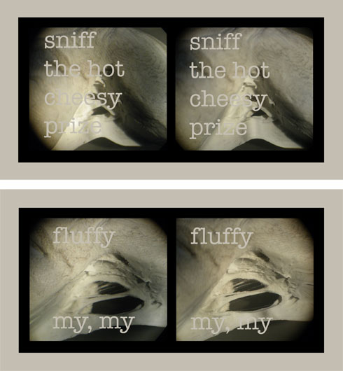 eye ball gritty stereo pairs 2