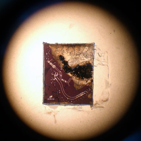 micro draw 3